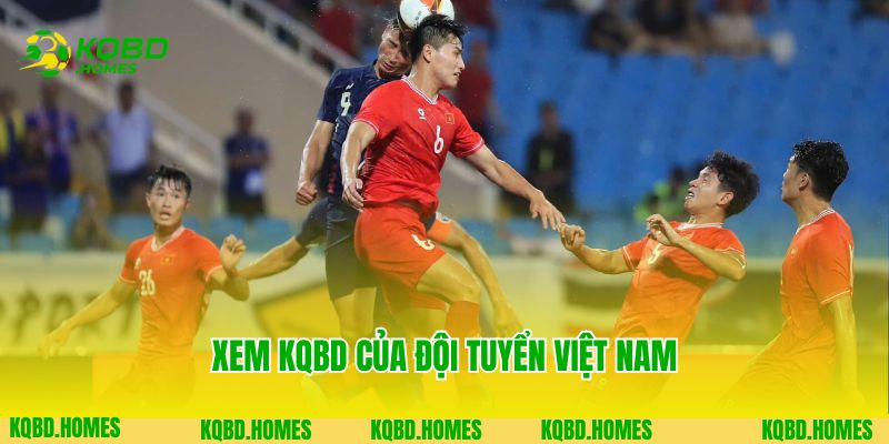 Trang Chủ 5 Xem KQBD của đội tuyển Việt Nam