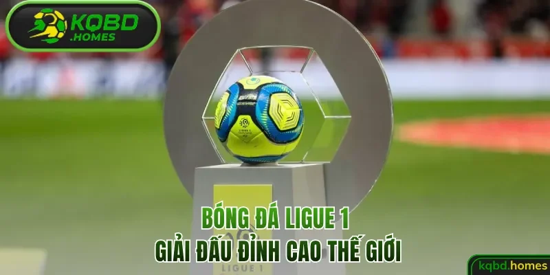 Bóng đá Ligue 1