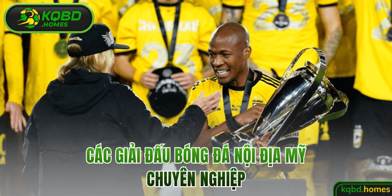 Các giải đấu bóng đá nội địa Mỹ chuyên nghiệp