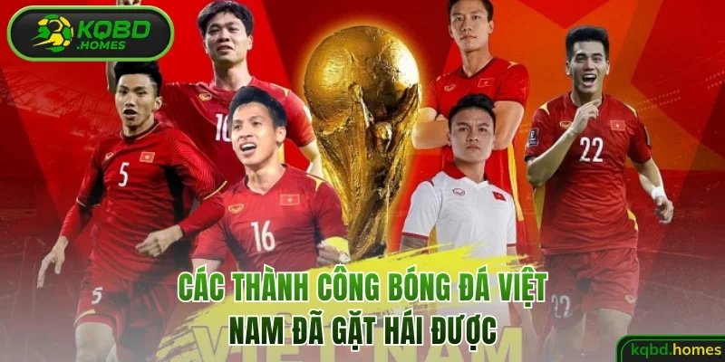 Các thành công bóng đá Việt Nam đã gặt hái được