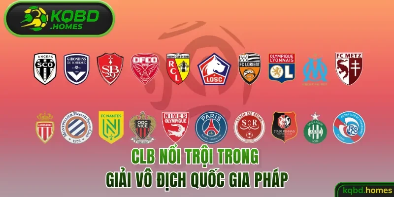 CLB nổi trội trong giải vô địch quốc gia Pháp