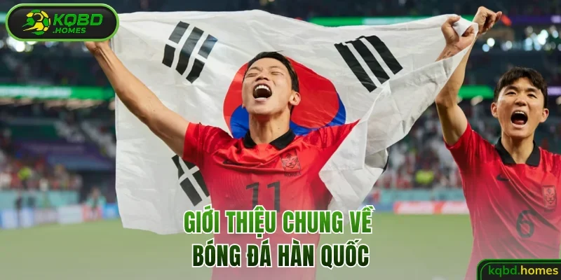 Giới thiệu chung về bóng đá Hàn Quốc