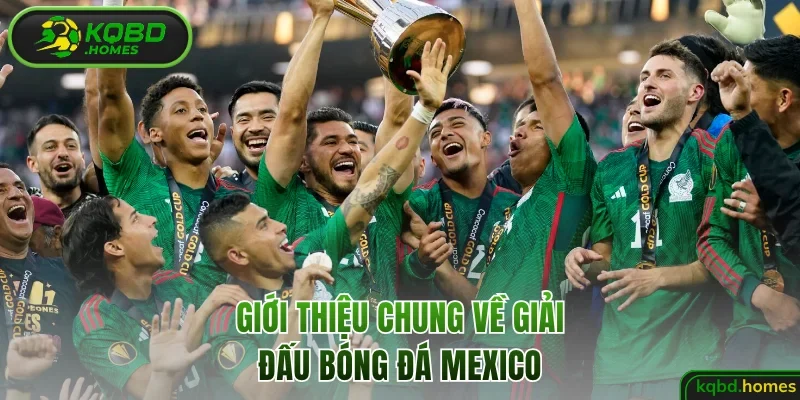 Giới thiệu chung về bóng đá Mexico 