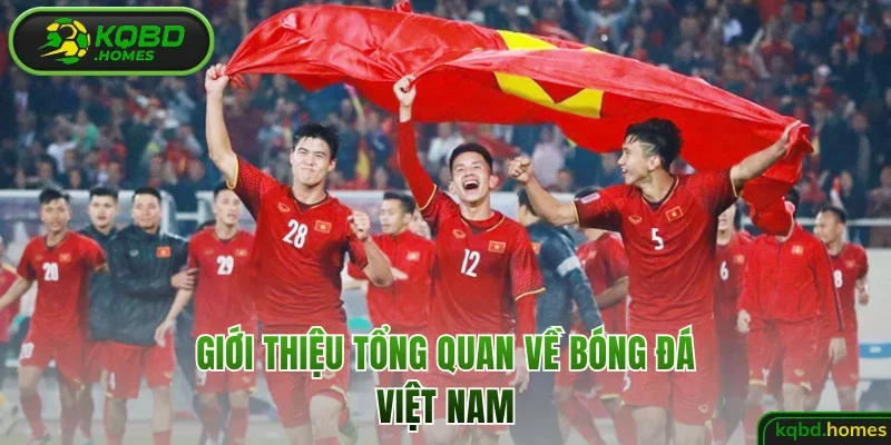 Giới thiệu tổng quan về bóng đá Việt Nam