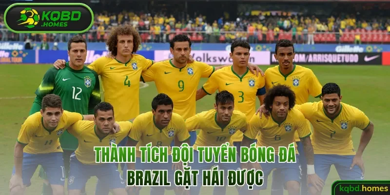 Thành tích đội tuyển bóng đá Brazil gặt hái được