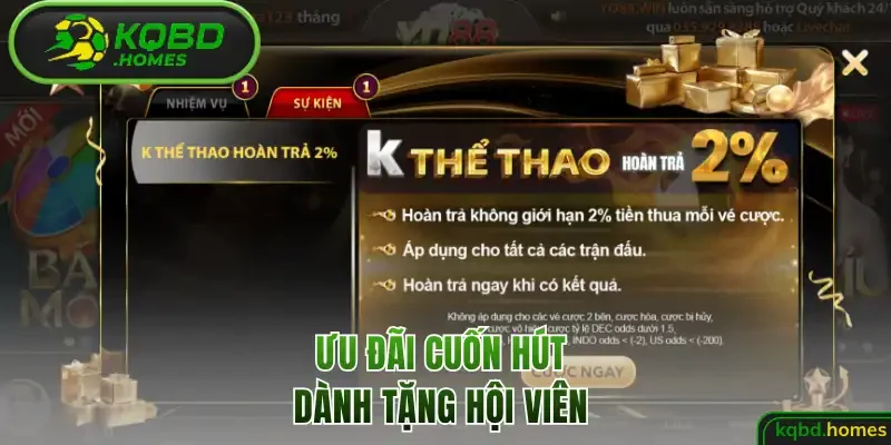 Ưu đãi cuốn hút dành tặng hội viên 
